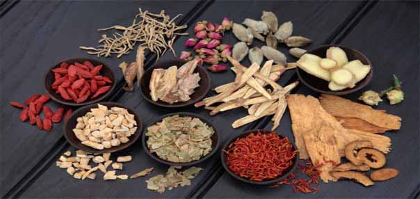 thetole acupuncture herbs kuala lumpur malaysia treatment
