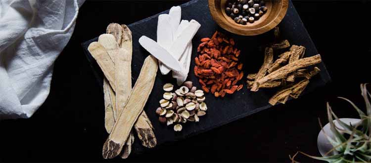 thetole acupuncture herbal medicine kuala lumpur malaysia treatment